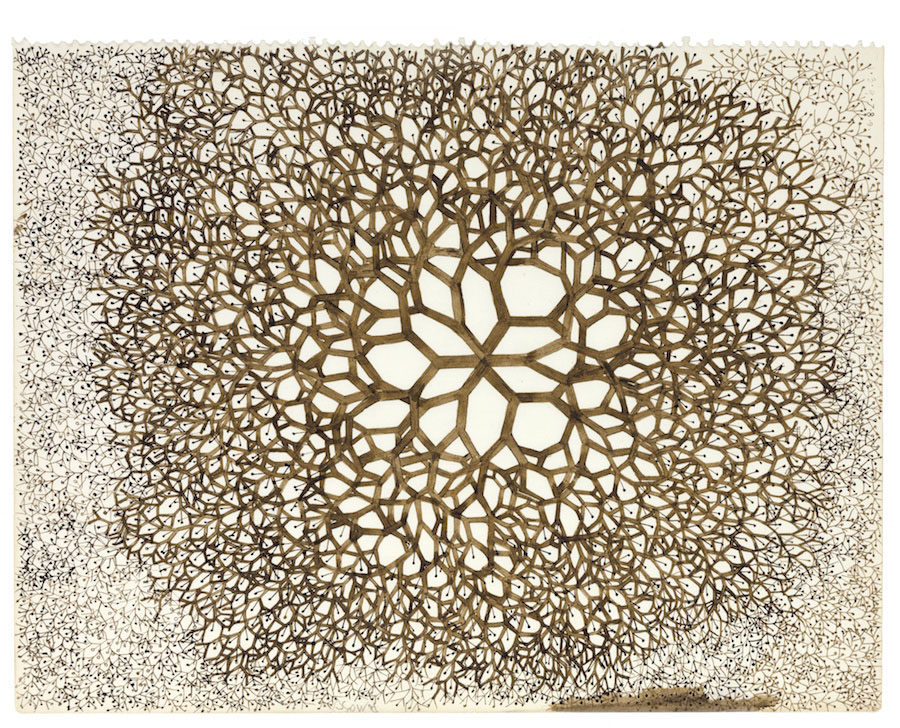 Works on Paper - Ruth Asawa